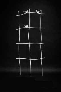 2 Stück feuerverzinkte Rankgitter \ Floravento\