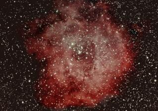NGC2244 Rosettennebel